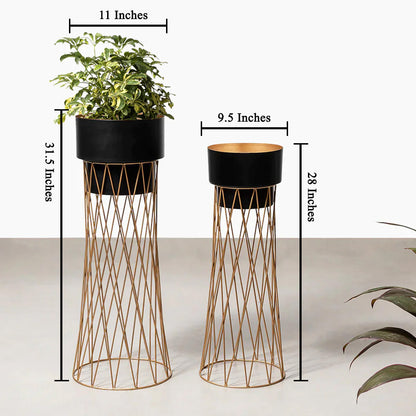Zen Botanics Planters Set of 2 - Black