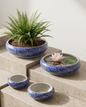 Delicate Lotus Vine Planter -Set Of 4